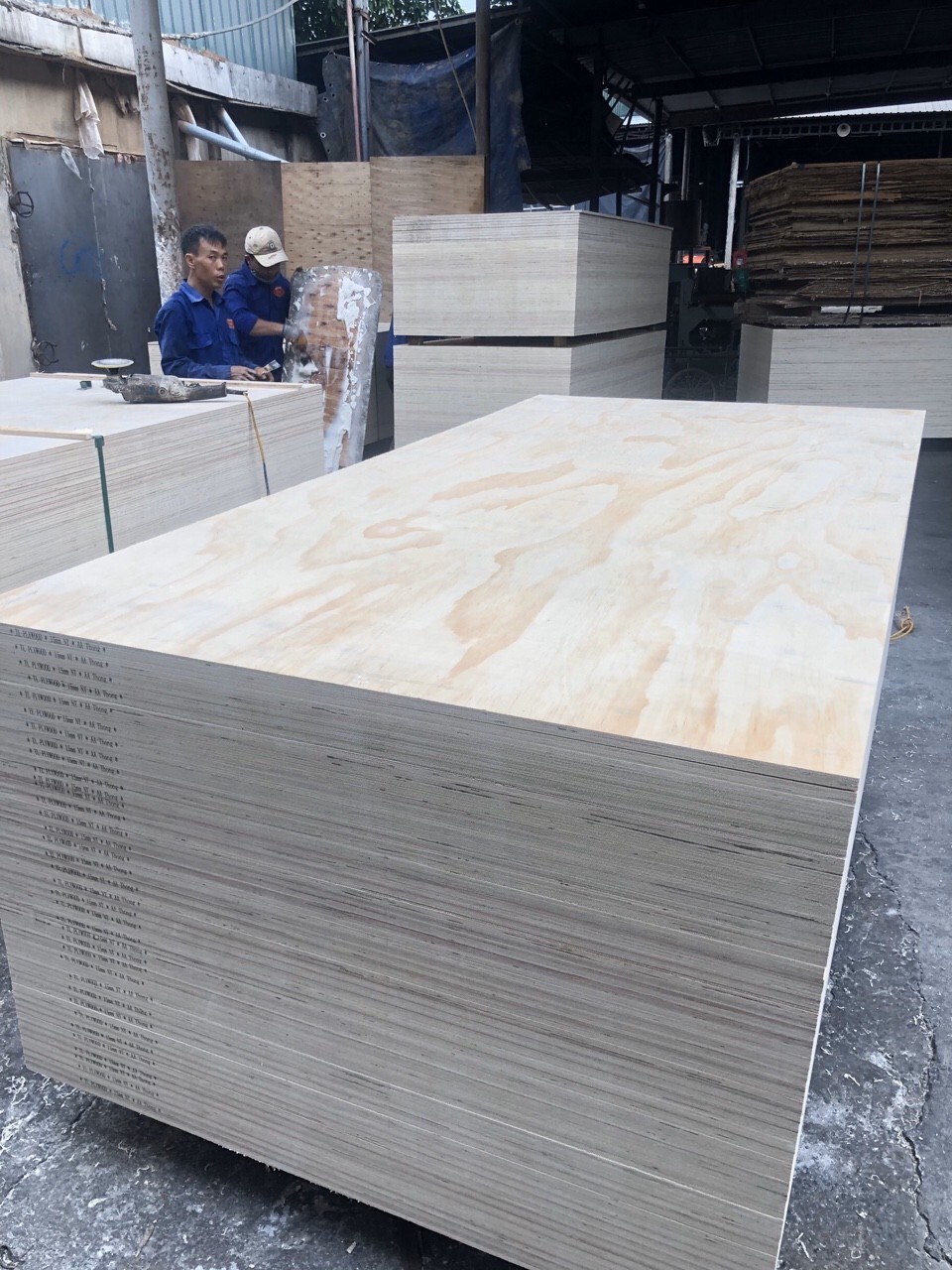 Exporting Plywood Veneer from Vietnam