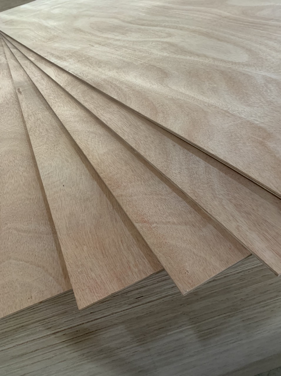 Okoume Plywood